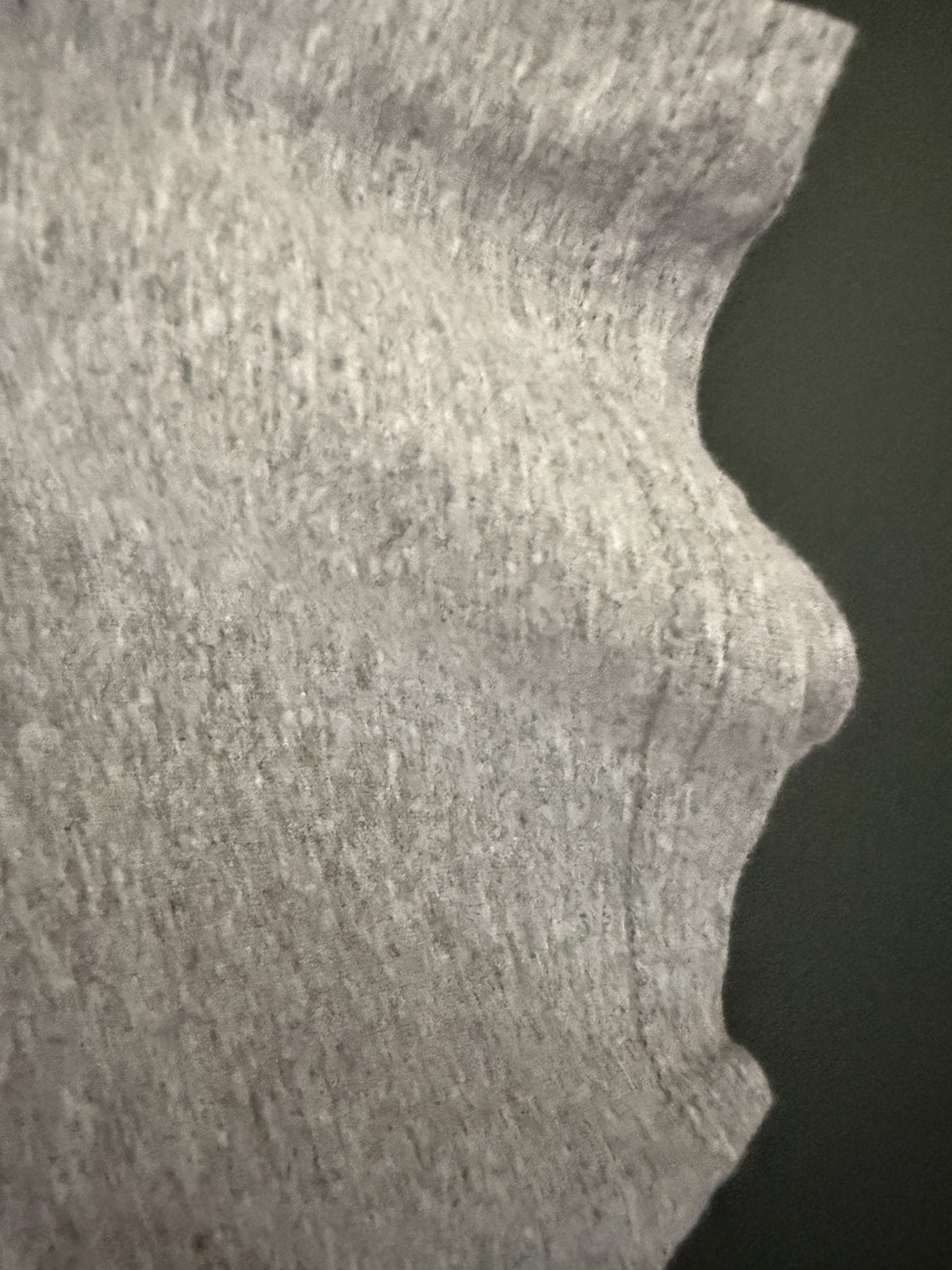 1982 Alabama Mountain Music Tour Tee