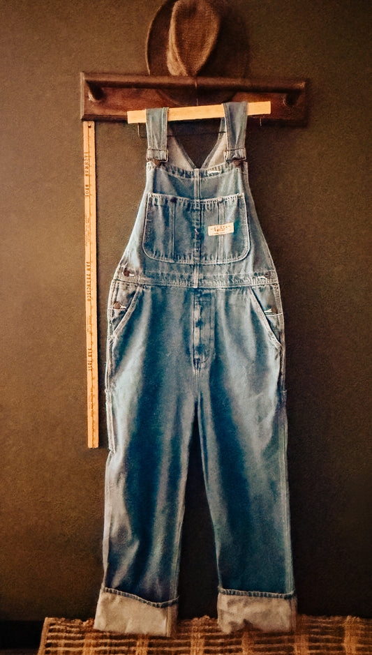 Big Mac Denim Overalls
